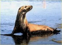 /album/fotogaleria-galeria/fotos-prezi-comprimidas-04-jpg1/